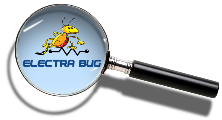 Electra Bug in Somerset West